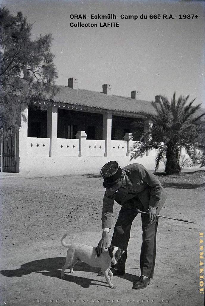 ORAN 1937 CAMP DU 66 EME RA A ECKMUHL   (3).jpg